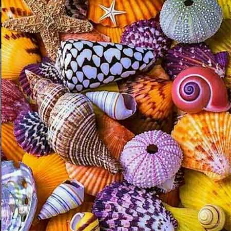 دانلود آهنگ مجنون بی لیلا هادی رحیمی